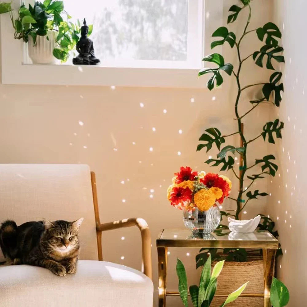 10/15/20CM Basket Disco Ball Hanging Planter Indoor Wall Hanging Creative Green Flower Pot Garden Decoration Gardening Hanging