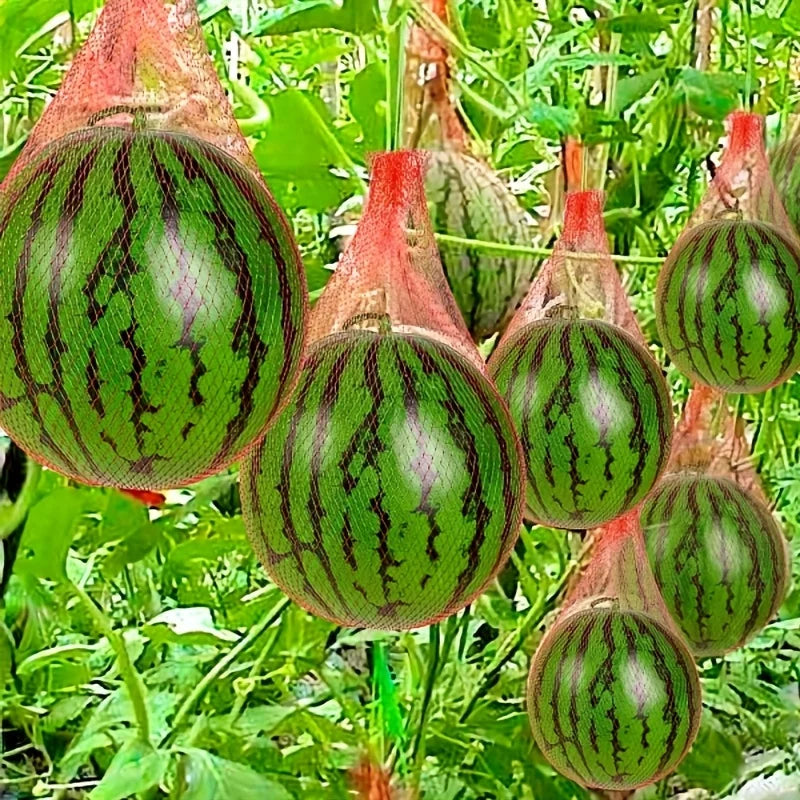 100 pieces of heavy-duty plastic garden netting, suitable for watermelon, melon, vertical planting and hammock with straps.