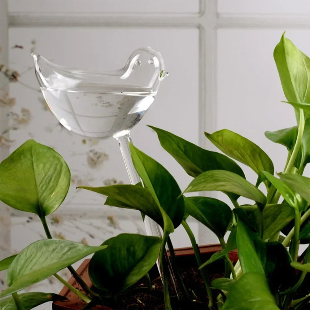 3–15Pcs Self-Watering Bulbs – Automatic Plant Watering System for Home & Garden