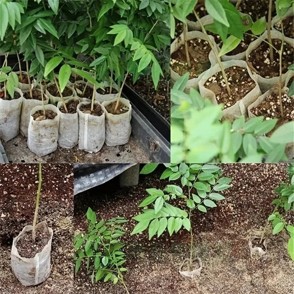 100pcs Nonwoven Seedling Plants Nursery Bags,Fabric Planting Pots,Garden Eco-Friendly Ventilate Growing Bags,Garden Planting