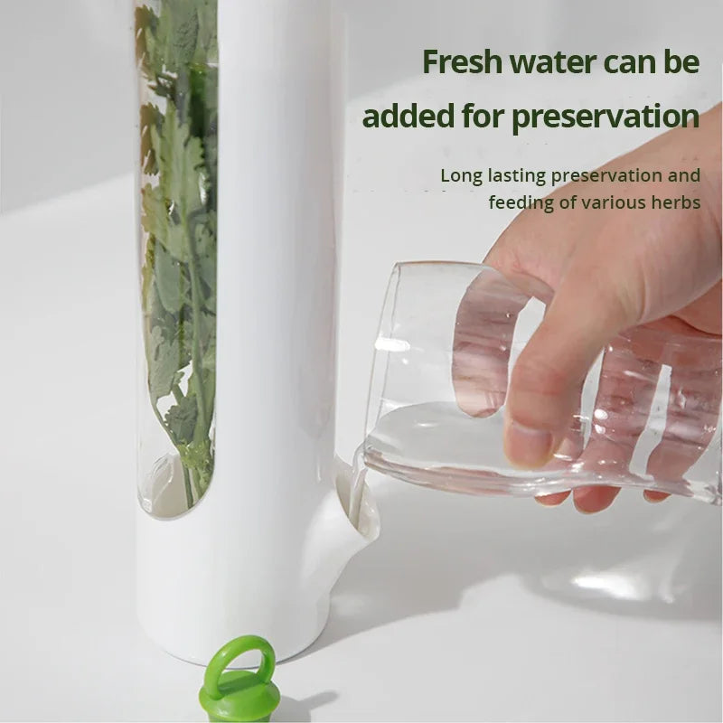 1 Pc Vegetable Preserving Bottle – Herbal Storage Container for Fresh Kitchen Supplies