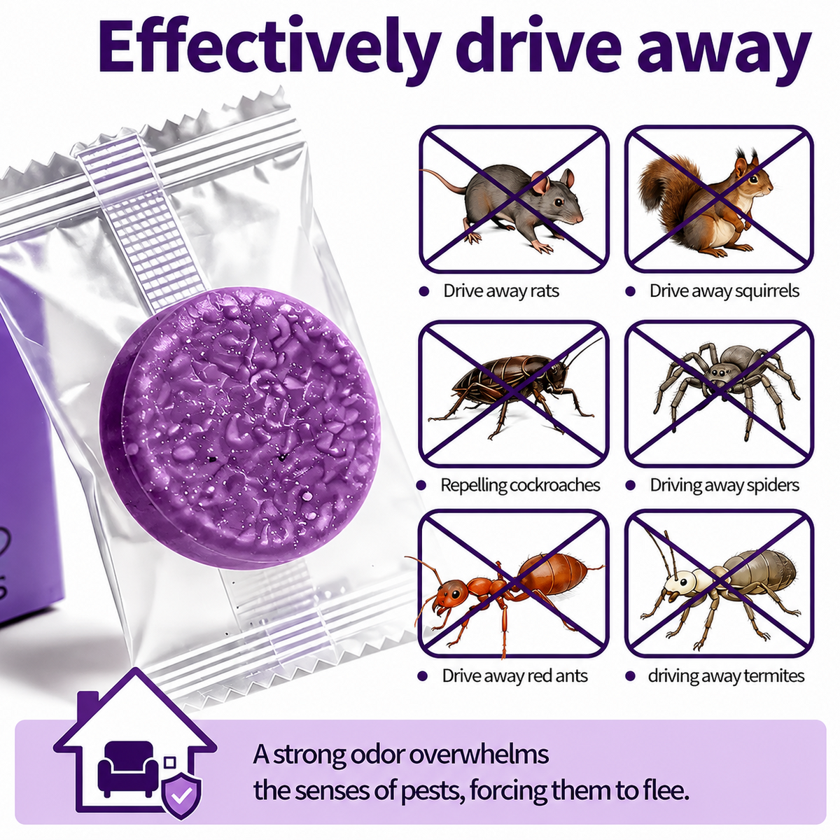 Cinnamon Pest & Rodent Repellent Pucks 🕷️🐍