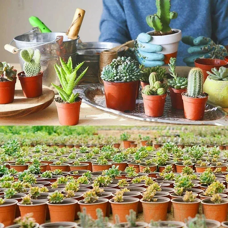 75PCS Plastic Nursery Pots – 4” Plant Containers for Seedlings, Succulents & Garden Transplants