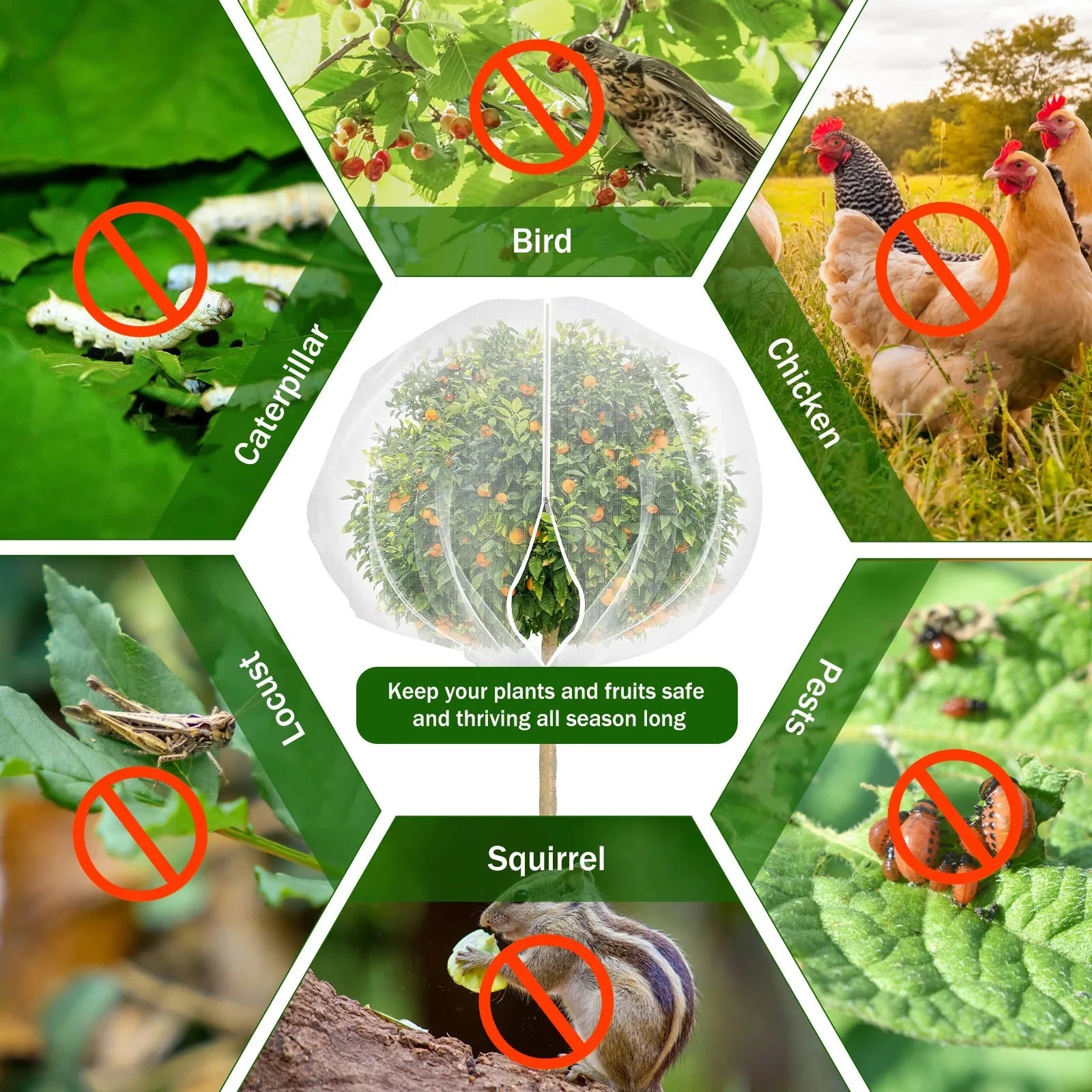1/2Pcs Fruit Tree Insect Net 10x10 Ft Greenhouse Vegetable Plant Net Large Garden Mesh Cover with Zipper and Drawstring Durable