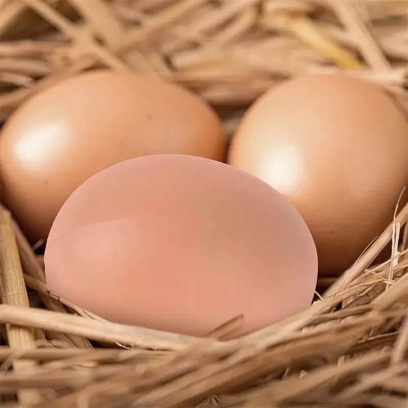 6/12PCS Plastic Fake Chicken Eggs – Hen Nesting Training Eggs for Coops & Cages