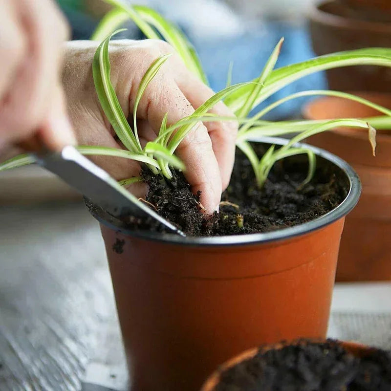 75PCS Plastic Nursery Pots – 4” Plant Containers for Seedlings, Succulents & Garden Transplants