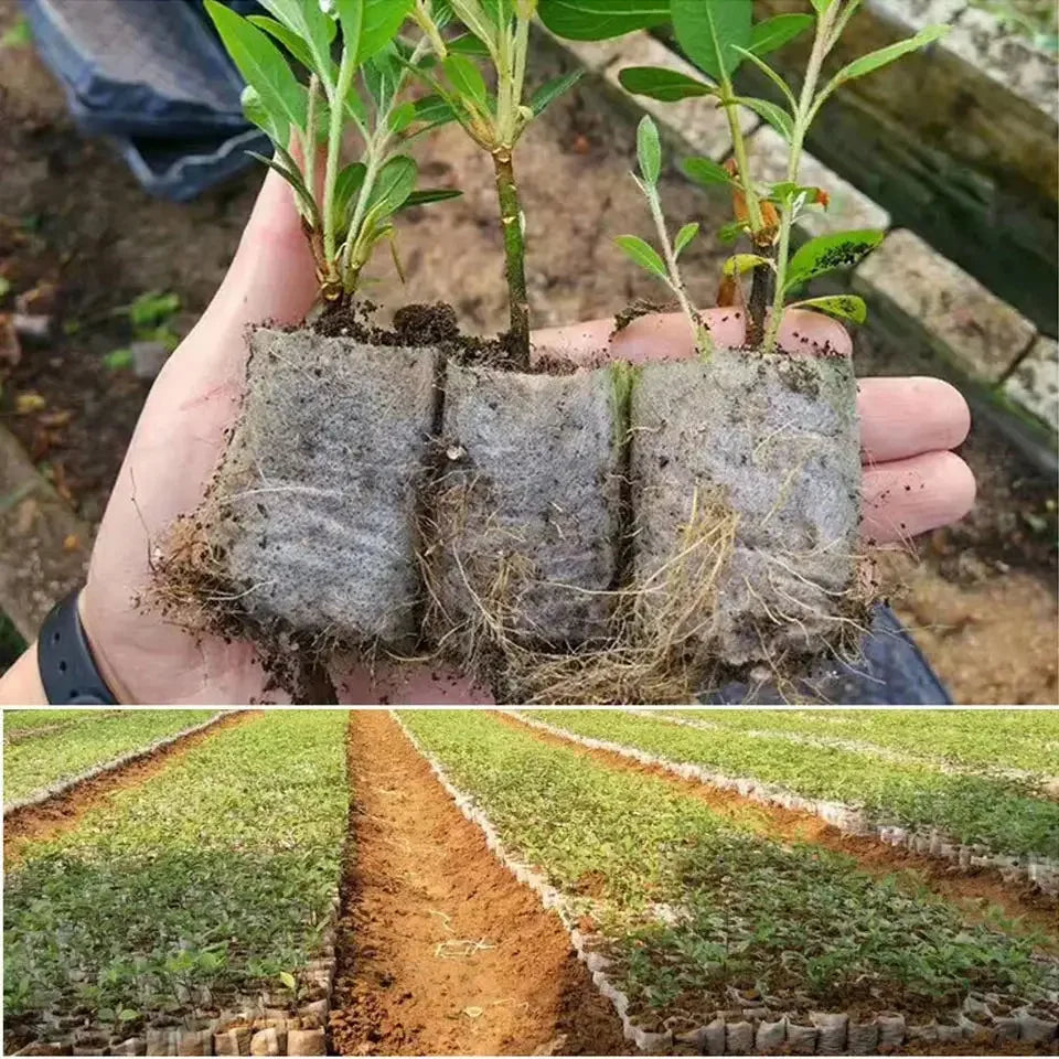 100PCS Biodegradable Seed Nursery Bags – Non-Woven Grow Bags for Plants, Seedlings & Garden Transplants
