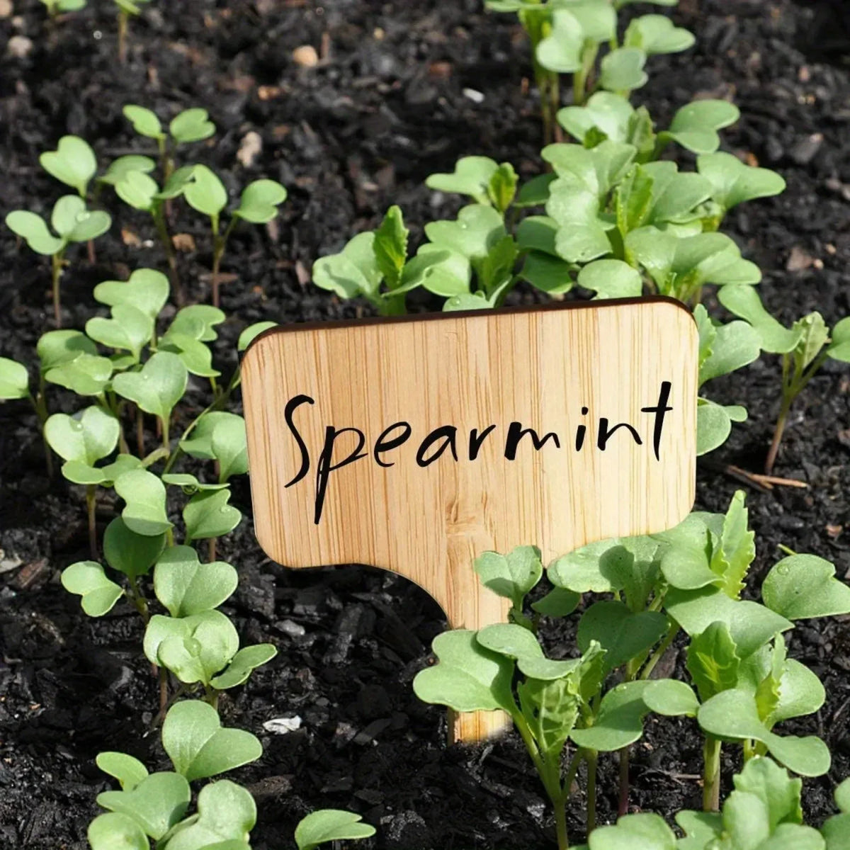 100Pcs Plastic Plant Labels – Waterproof Garden Tags for Seedlings, Herbs & Potted Plants