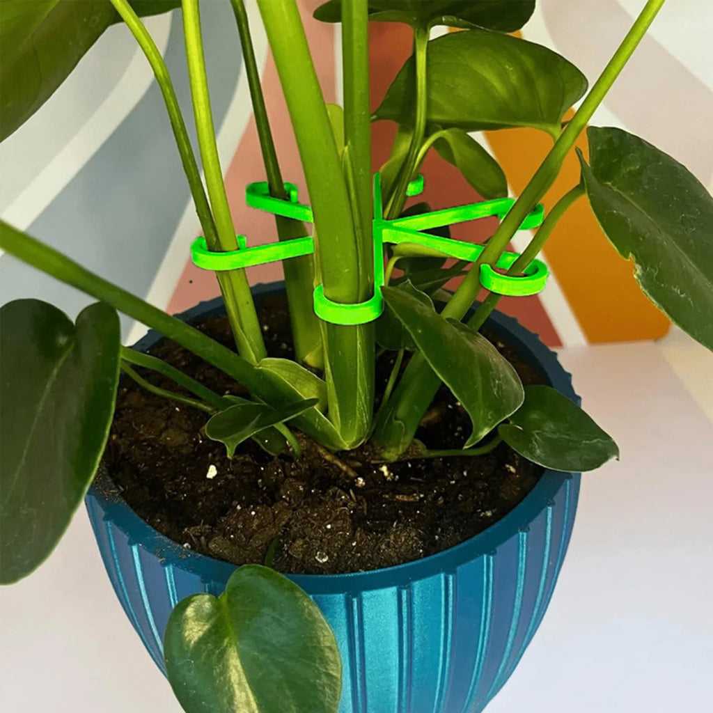 4Pcs Plastic Plant Trellis Set – Indoor & Outdoor Stem Support for Climbing Vines