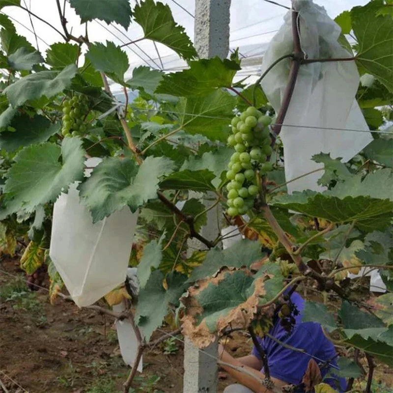 100pcs Garden Strawberry Grapes Fruit Protection Bags Cover Plant Nursery Bag Pest Control Anti-Bird Mesh Bag Gardening Protect